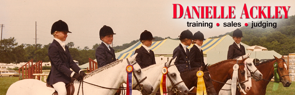 Danielle Ackley :: Hunter/Jumper Training, Horse Sales, Equine Management