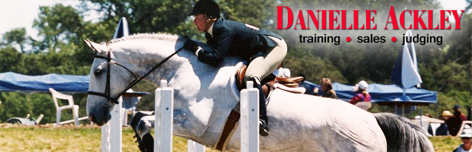 Danielle Ackley :: Hunter/Jumper Training, Horse Sales, Equine Management